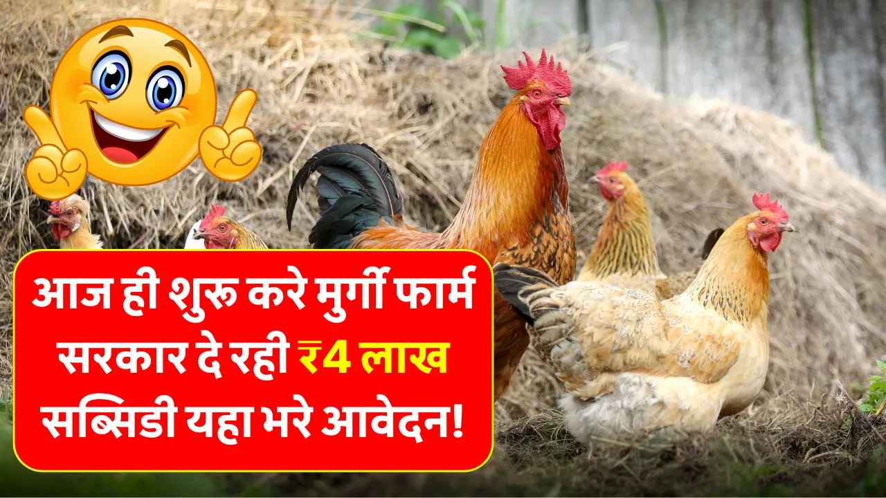 बेरोजगारी खत्म! मुर्गी फार्म खोलिए और पाएं ₹4 लाख तक सरकारी मदद! Murgi Farm Yojana